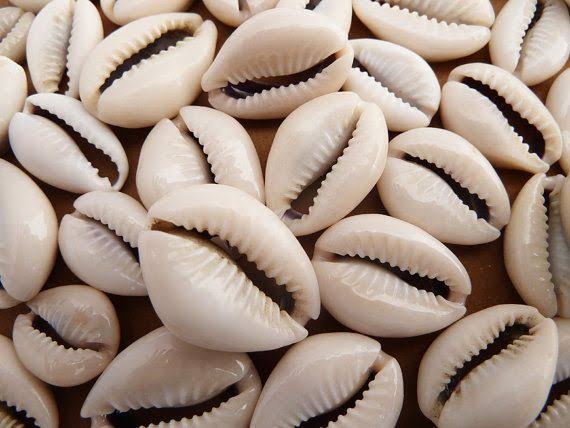 The meaning and history of the cowrie shell