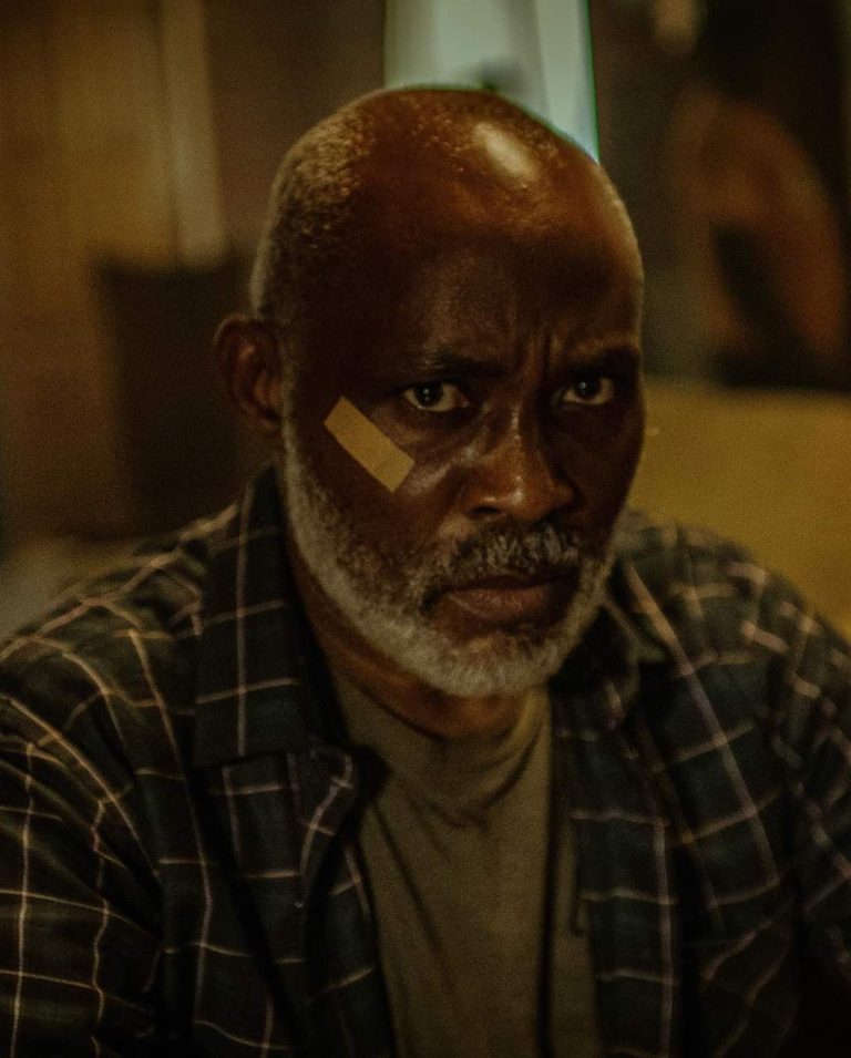 Richard Mofe-Damijo plays the lead in ‘The Black Book’ NetflixNaija