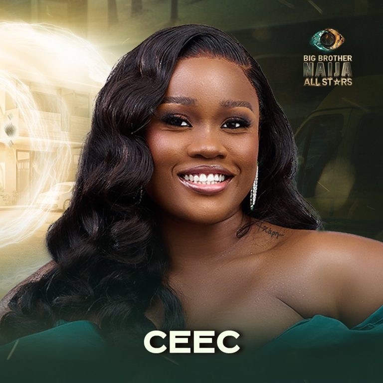 Introducing the Top 6 Finalists of BBNaija All Stars