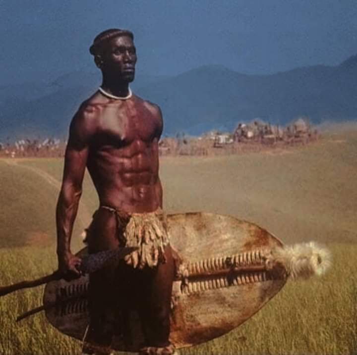 Sigidi kaSenzangakhona Zulu, King and Conqueror