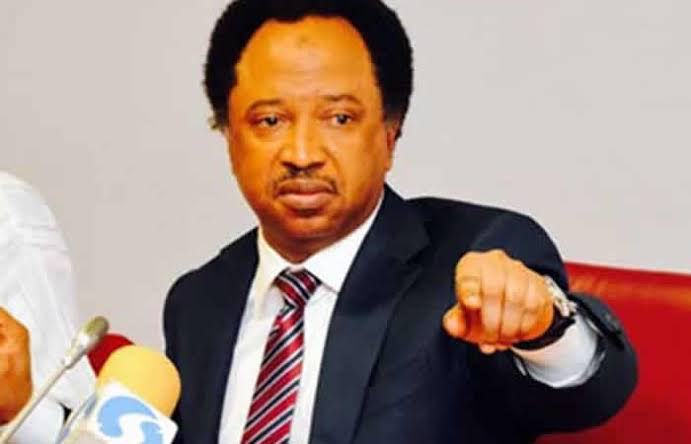 Shehu Sani applauds Tinubu’s initiative to resolve the Dubai visa ban issue