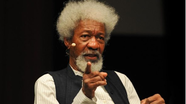 U.S. Revokes Wole Soyinka’s Visa Amid Tensions Over Past Trump Criticism