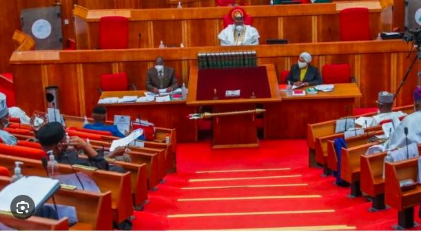 The Senate is considering prohibiting domestic foreign exchange transactions and is suggesting the imposition of prison sentences