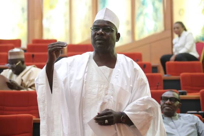 Chaos erupts in the Senate as Senator Ndume dramatically exits the chamber