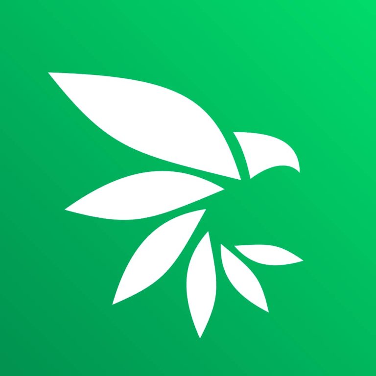 iCell Group introduces NijaChat Super app, seamlessly blending digital messaging with lifestyle features