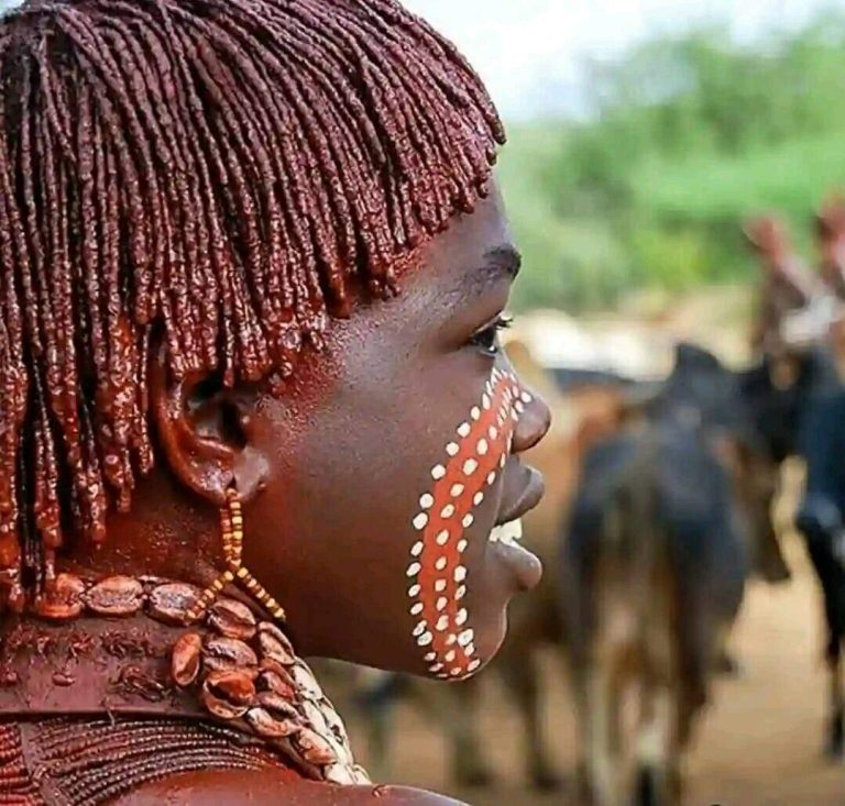 Unveiling the Cultural Marvels of the Hamar Tribe: Tradition and Ceremonies in Southern Ethiopia’s Omo Valley**
