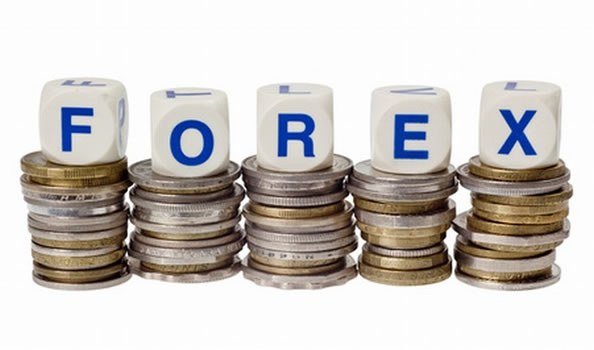 Six government agencies allocate a sum of N244 million to mitigate foreign exchange losses