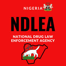 NDLEA apprehends the suspected proprietor of tramadol concealed within dietary supplements