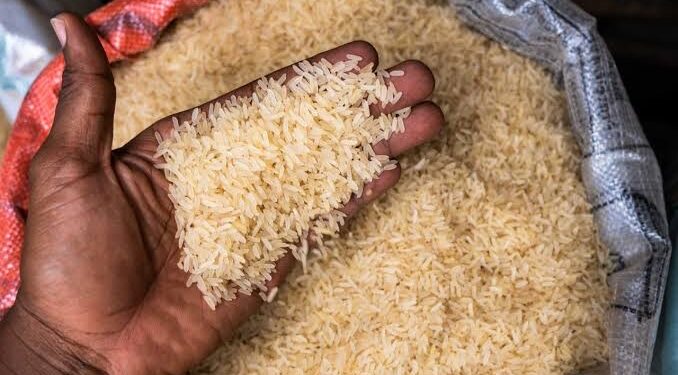 Rice prices crash by over 20% in relief for Nigerian households