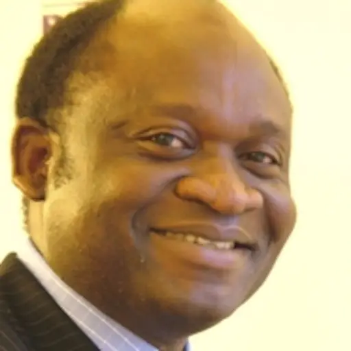 Local government autonomy: Supreme Court’s perverse ruling won’t work, by Olu Fasan