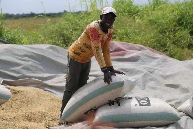 Real owner of Ogun State rice project breaks silence, calls for govt assistance