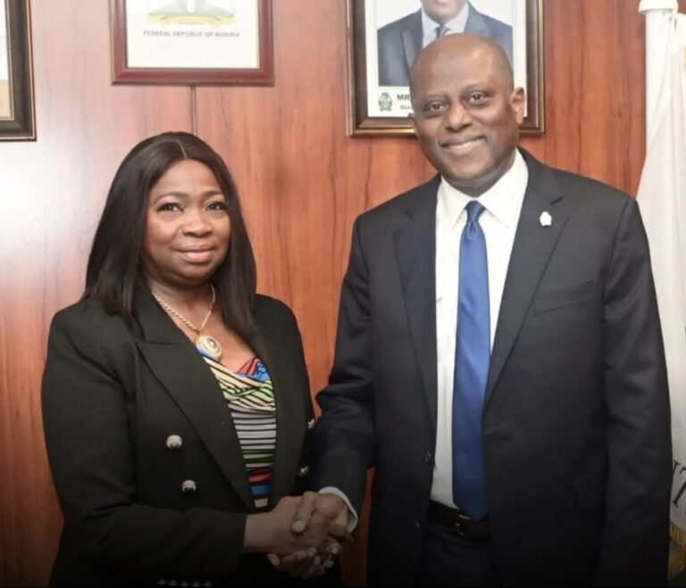 NIDCOM Credits CBN Policies for Surge in Diaspora Remittances