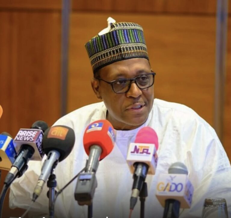 Nigeria’s Healthcare Spending Relies Heavily on Out-of-Pocket Payments – Minister Pate