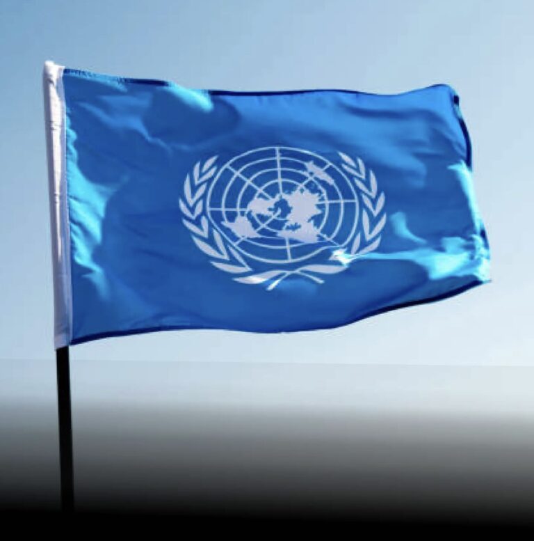 U.N. Halts Critical Air Service in Northeast Nigeria Amid Funding Shortages