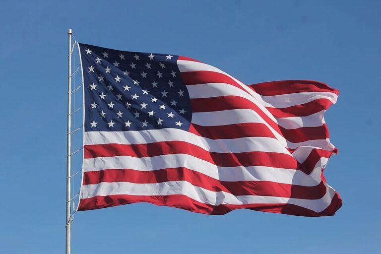 47,000 Nigerians Naturalised as U.S. Citizens in Four Years