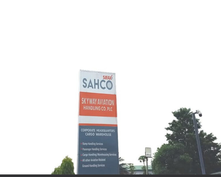 SKYWAY vs. NAHCO: Which Stock Offers Better Value for Investors?