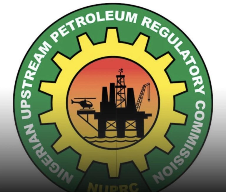 Nigeria Records Over 50% Drop in Crude Oil Losses, Lowest in More Than a Decade