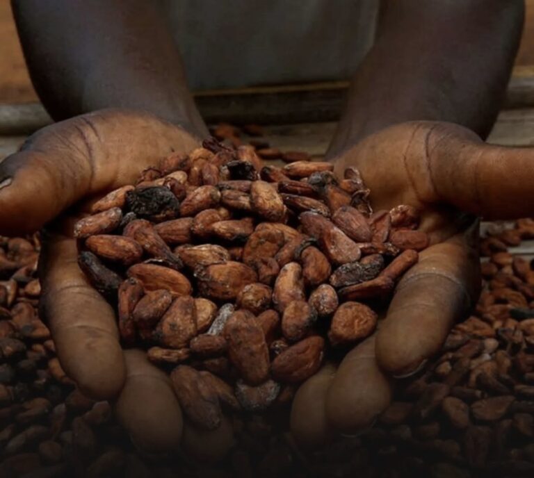 Cocoa Prices Surge Amid Weather Concerns in West Africa
