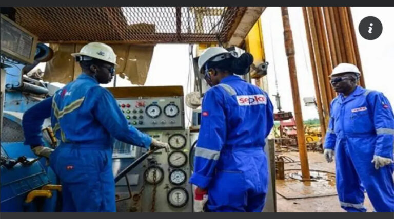 Seplat Energy Sets $1 Billion Dividend Payout Target by 2030