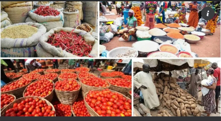 Abuja Market Report: Prices of Rice, Beans, and Tomatoes Drop in September