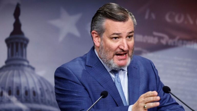 Presidency Warns U.S. Senator Ted Cruz Over Comments on Nigeria