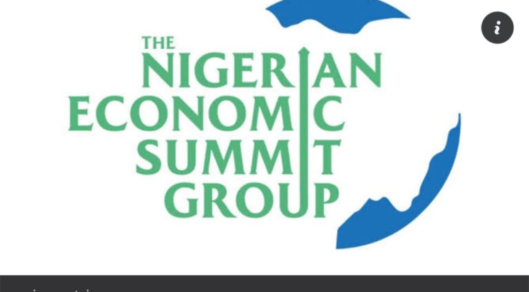 NESG Warns Nigeria Must Create 27 Million Jobs by 2030 to Prevent Employment Crisis