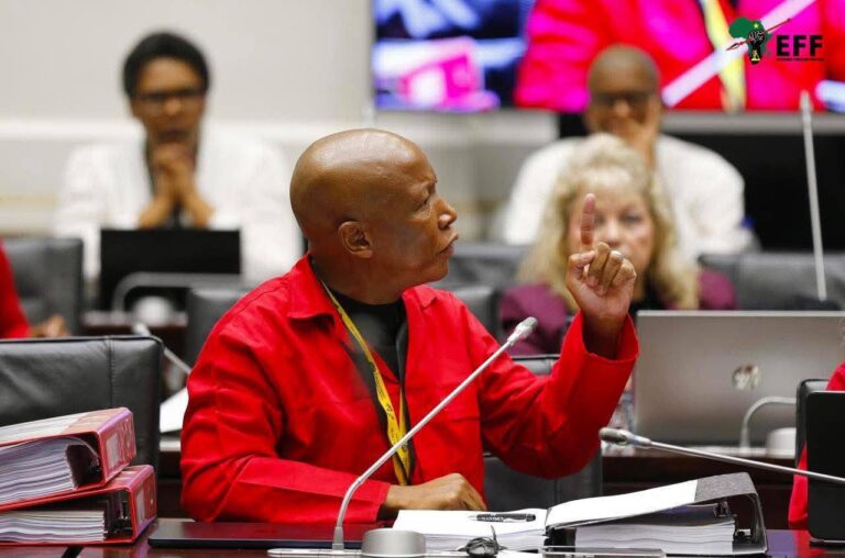 Malema Makes Strong Submissions Before Ad Hoc Committee Probing Lt. Gen. Mkhwanazi Allegations