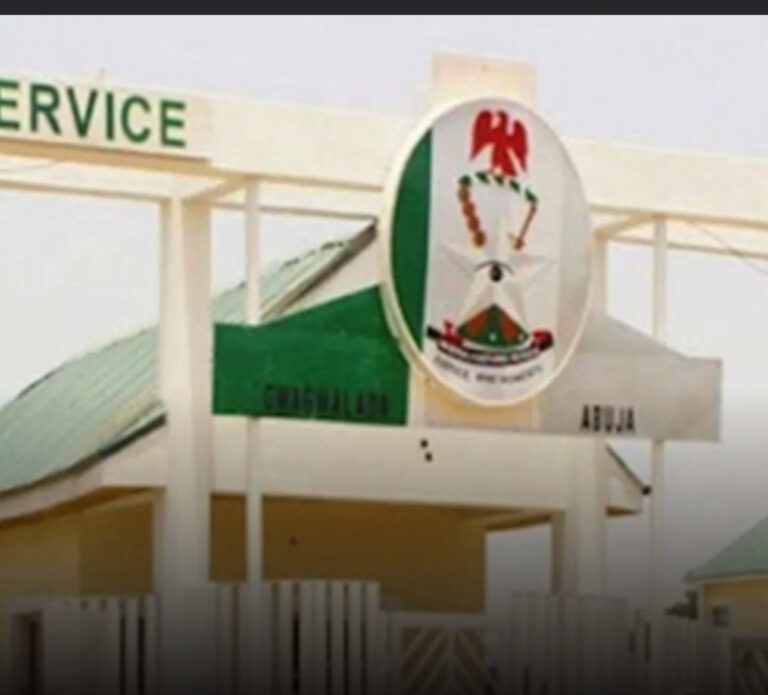 Customs Seizes N1.2 Billion Worth of Contraband in Six Weeks — Comptroller Shu’aibu