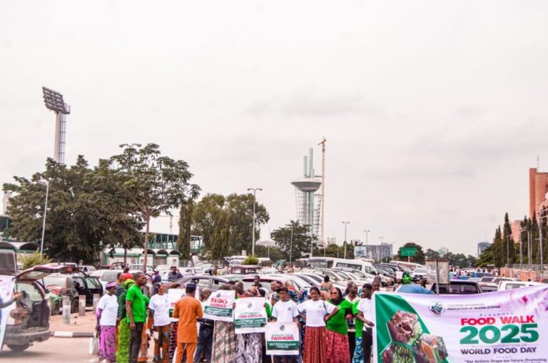 Experts, Officials Advocate Healthy Diets and Sustainable Food Systems to Strengthen Nigeria’s Food Security