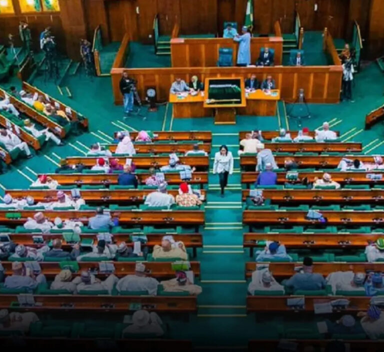 Reps Launch Probe Into $4.6 Billion Global Fund, USAID Grants to Nigeria