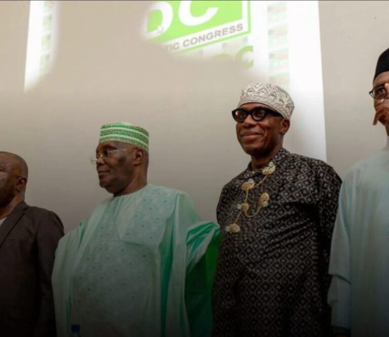 ADC Accuses Tinubu Administration of “Weaponising Hunger” Amid Rising Food Prices