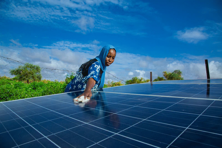 EU Raises Concern Over Africa’s Underfunded Renewable Energy Potential