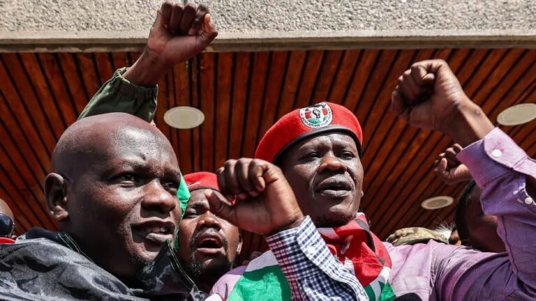 Ugandan President Museveni Confirms Arrest of Kenyan Activists, Labels Them “Experts in Riots”