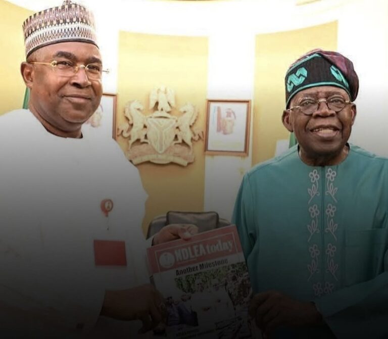 President Tinubu Renews Brigadier-General Marwa’s Tenure as NDLEA Chairman