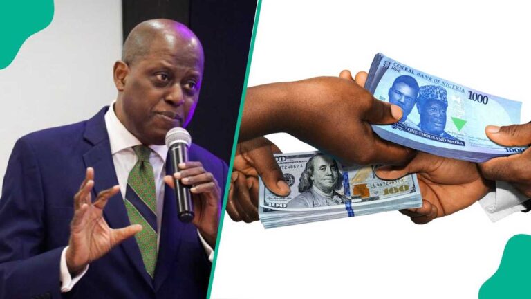 CBN’s Approval of 82 New BDC Licences Sparks Anxiety in Abuja’s FX Market