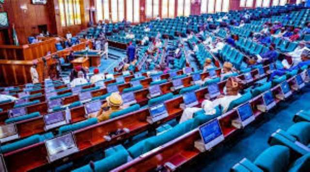 Reps Demand FG Publicly Name and Prosecute Terror, Kidnap Financiers