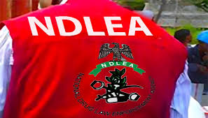 NDLEA Intercepts Large Cache of Ammunition Along Abuja–Kaduna Highway