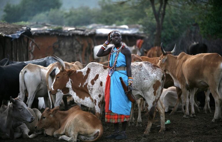 Why Kenya’s Maasai People Drink Blood and Milk